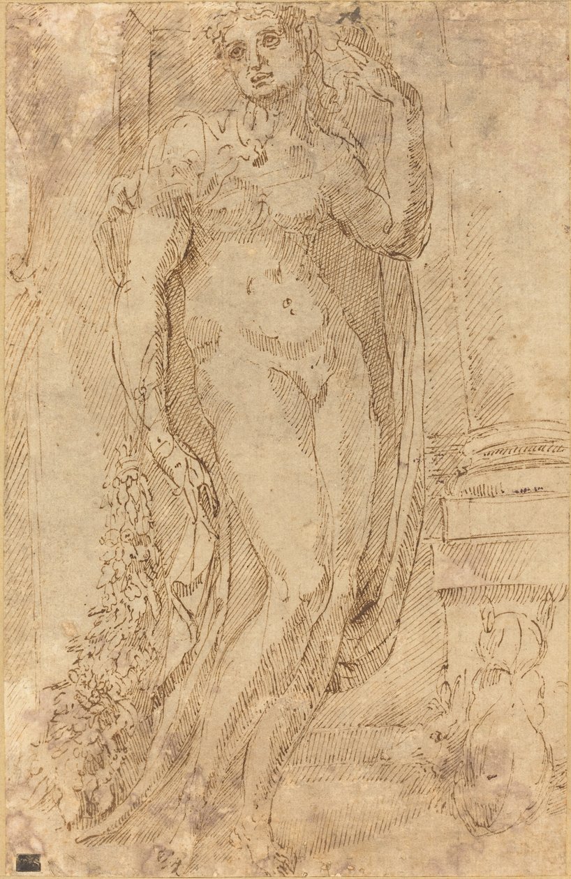 Bir Kedi ve Domuz ile Alegorik Figür by Jacopo di Giovanni