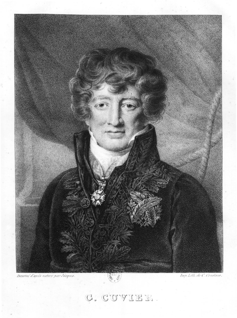 Georges Cuvier'in Portresi (1769-1832) by Jacques