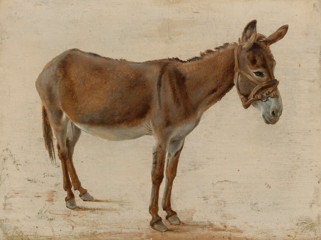 Eşek by Jacques Laurent Agasse
