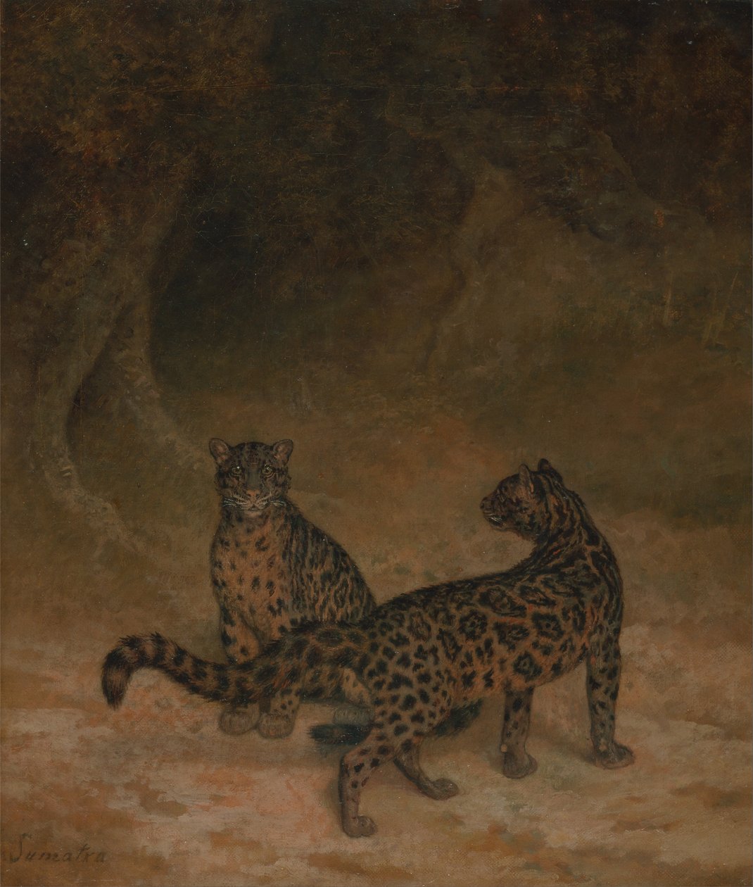 Bulutlu Leoparlar by Jacques Laurent Agasse