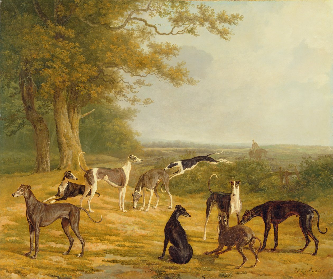 Bir Manzarada Dokuz Tazı by Jacques Laurent Agasse