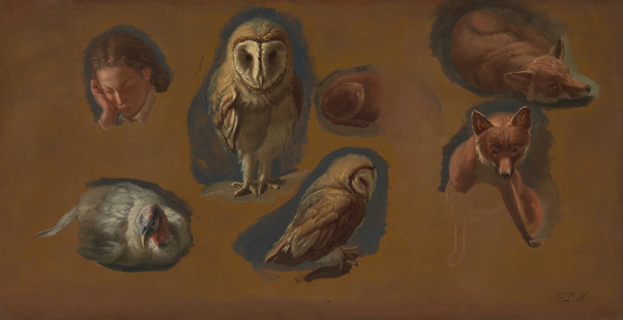 Bir Tilki, Bir Peçeli Baykuş, Bir Peahen ve Bir Genç Adamın Başı Üzerine Çalışmalar by Jacques Laurent Agasse