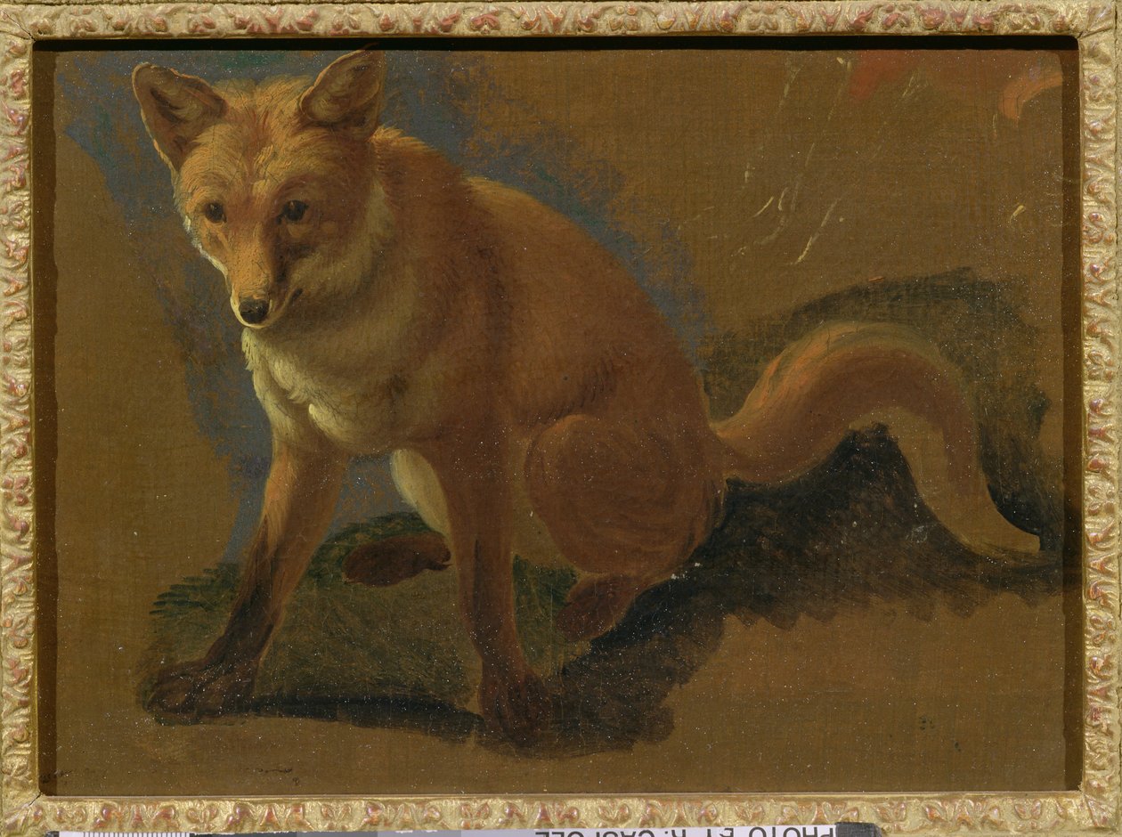 Bir Tilkinin Çalışması by Jacques Laurent Agasse