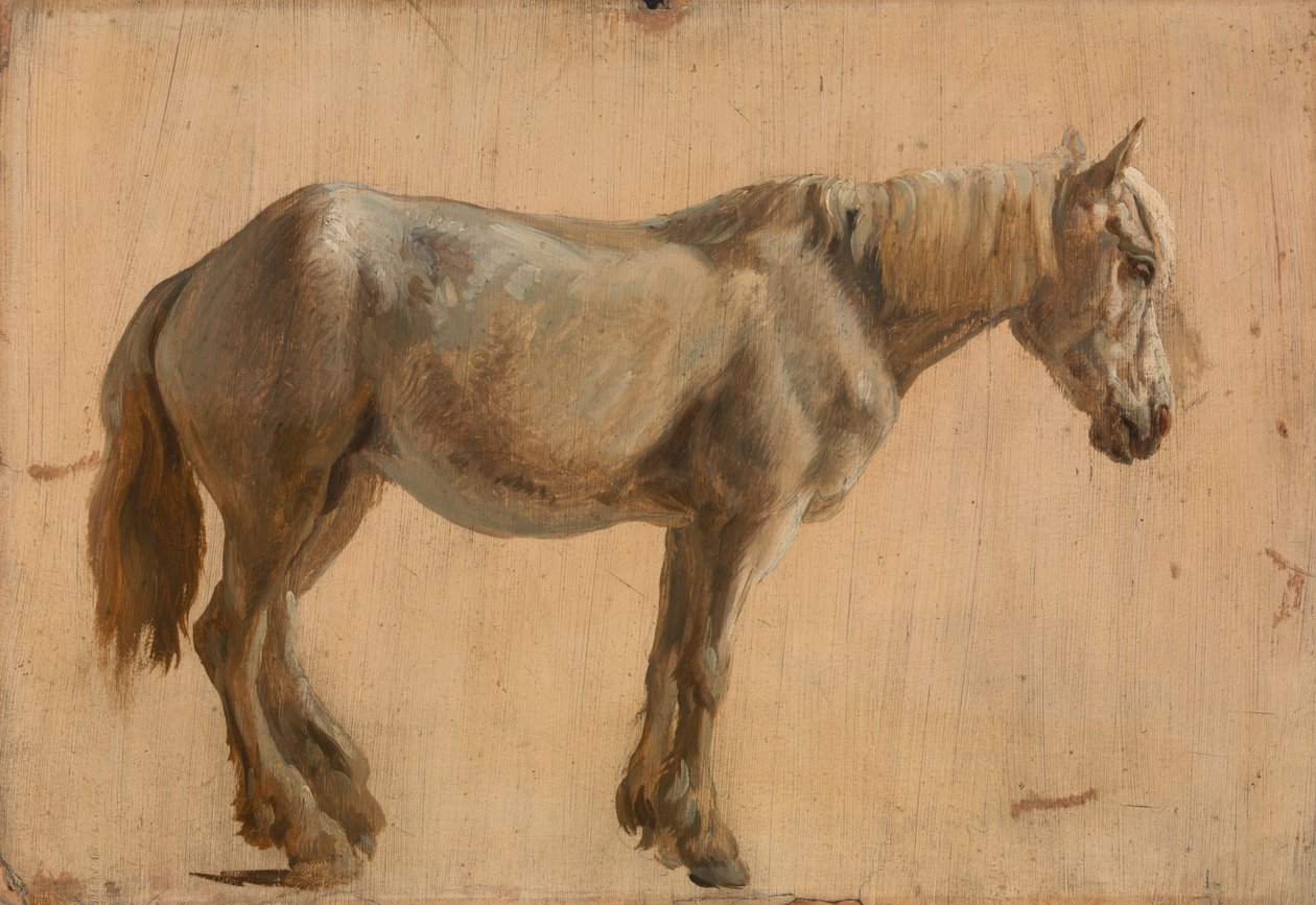 Gri At Çalışması by Jacques Laurent Agasse