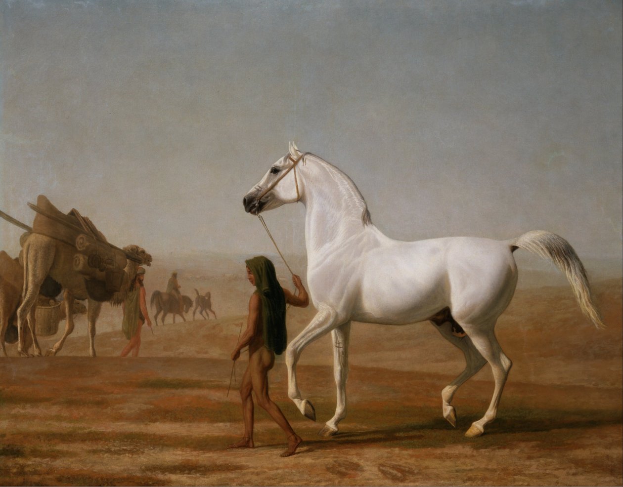Wellesley Gray Arabian Çölde Yol Açtı by Jacques Laurent Agasse