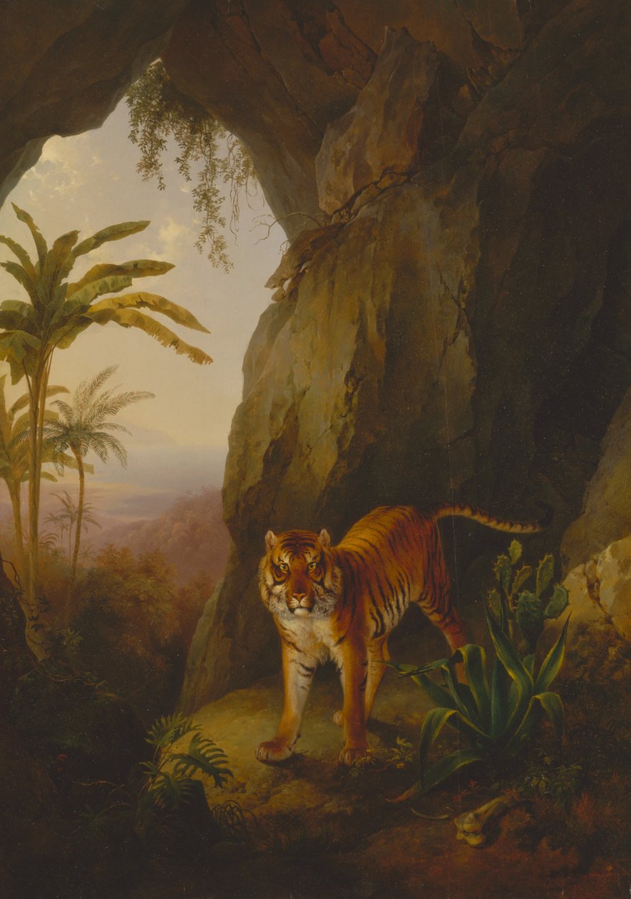 Mağaradaki Kaplan by Jacques Laurent Agasse