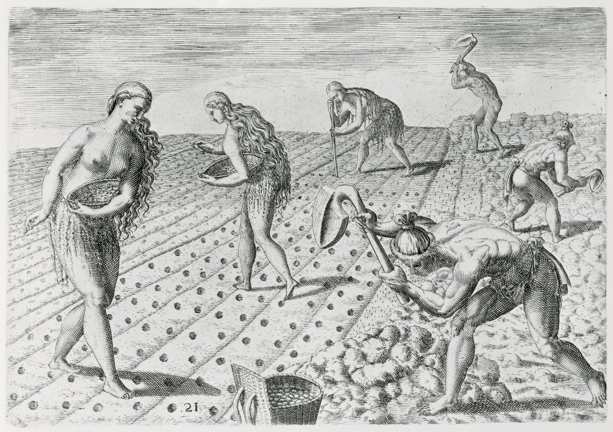 Florida Kızılderilileri mısır ekerken, Theodor de Bry (1528-98) tarafından yazılmış ve kazınmış 