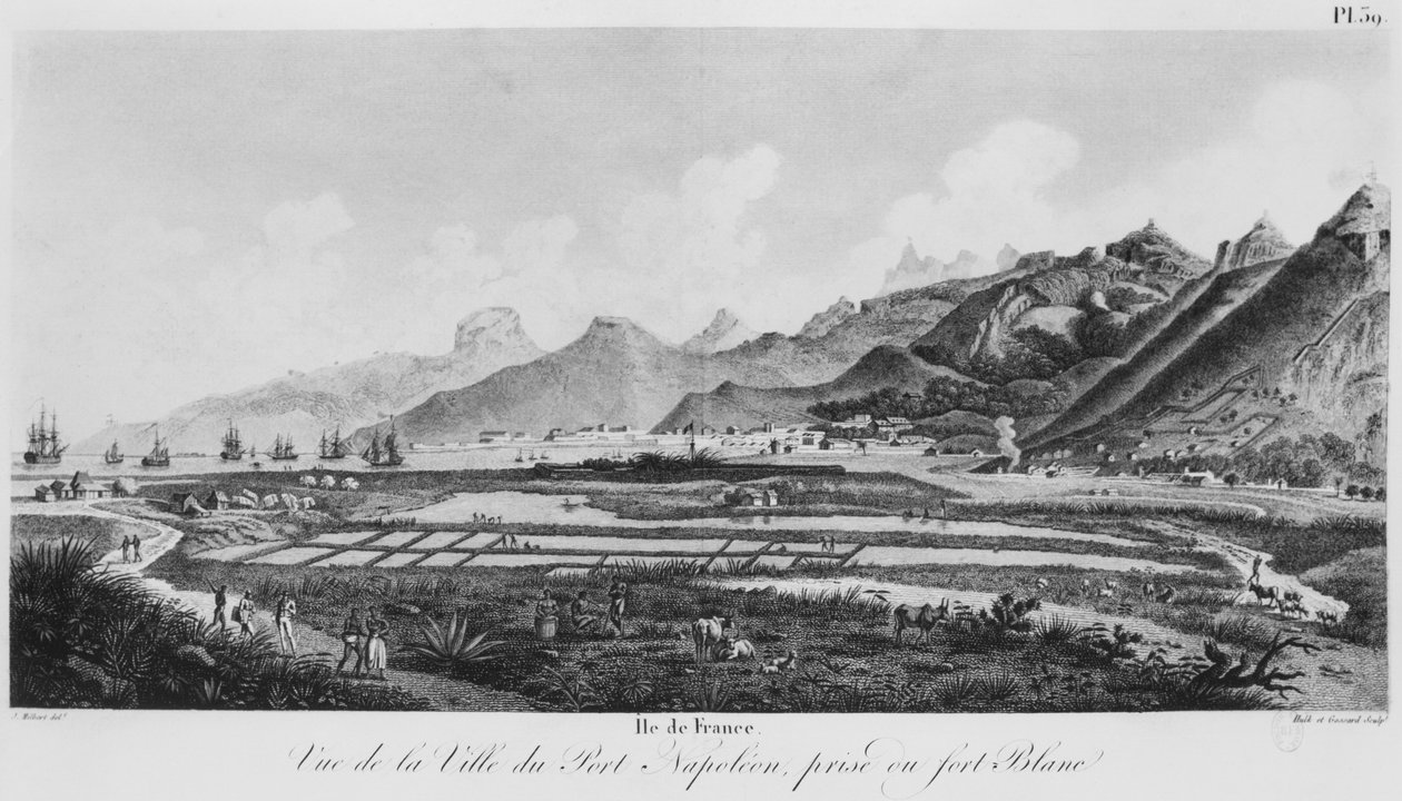 Fransa Adası (Mauritius), Port-Napoleon