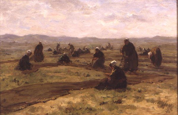 Ağ Tamiri (panelde yağ) by Jacques Abraham Zon