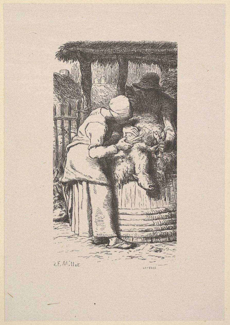 Koyun kırpma, 1853. by Jacques Adrien Lavieille