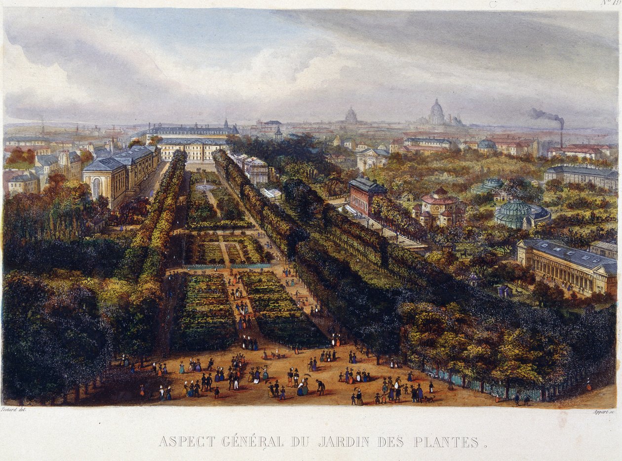Jardin des Plantes