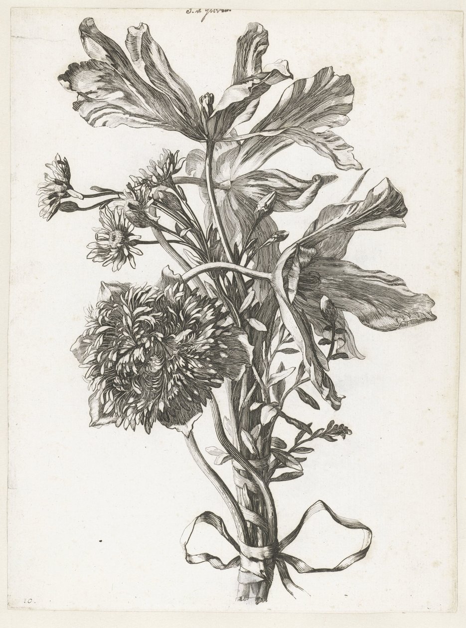 Süresi dolmuş laleler, anemon çiçeği ve ölümsüz buket Çeşitli Fleurs, Boucquets