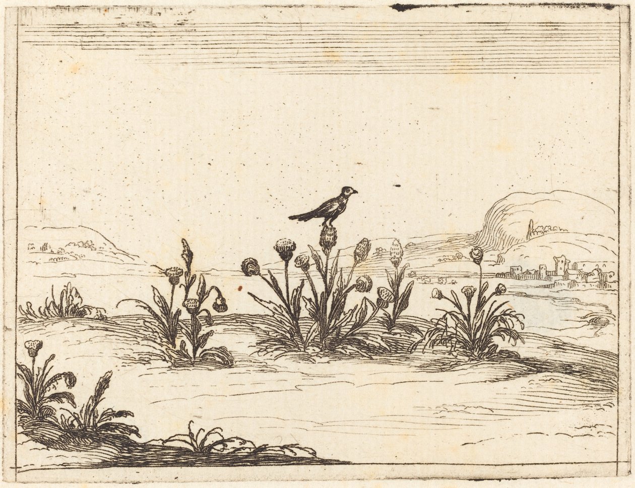 Devedikeni Tünemiş Kuş by Jacques Callot