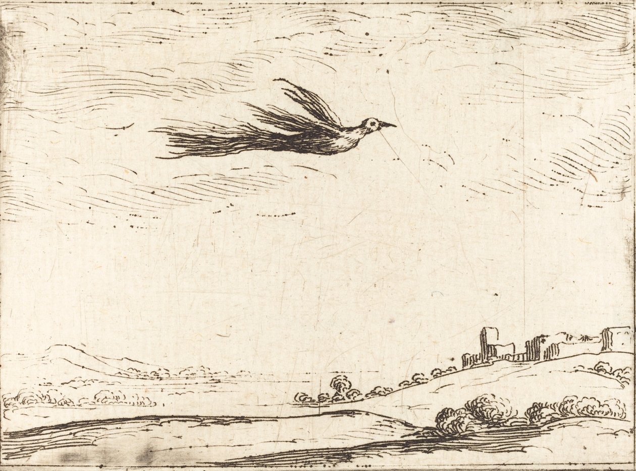 Cennet kuşu by Jacques Callot