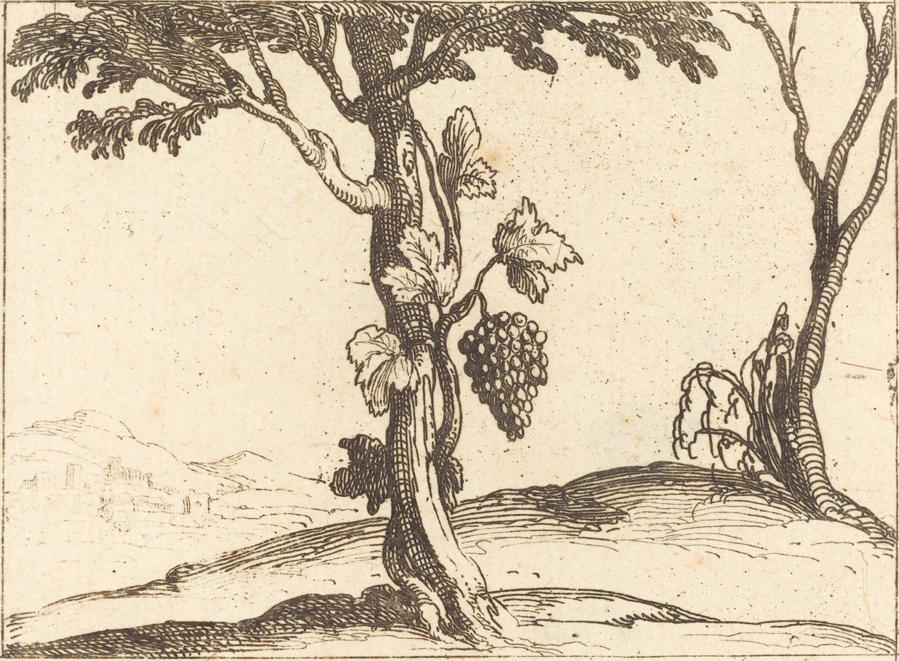 Bir salkım üzüm by Jacques Callot