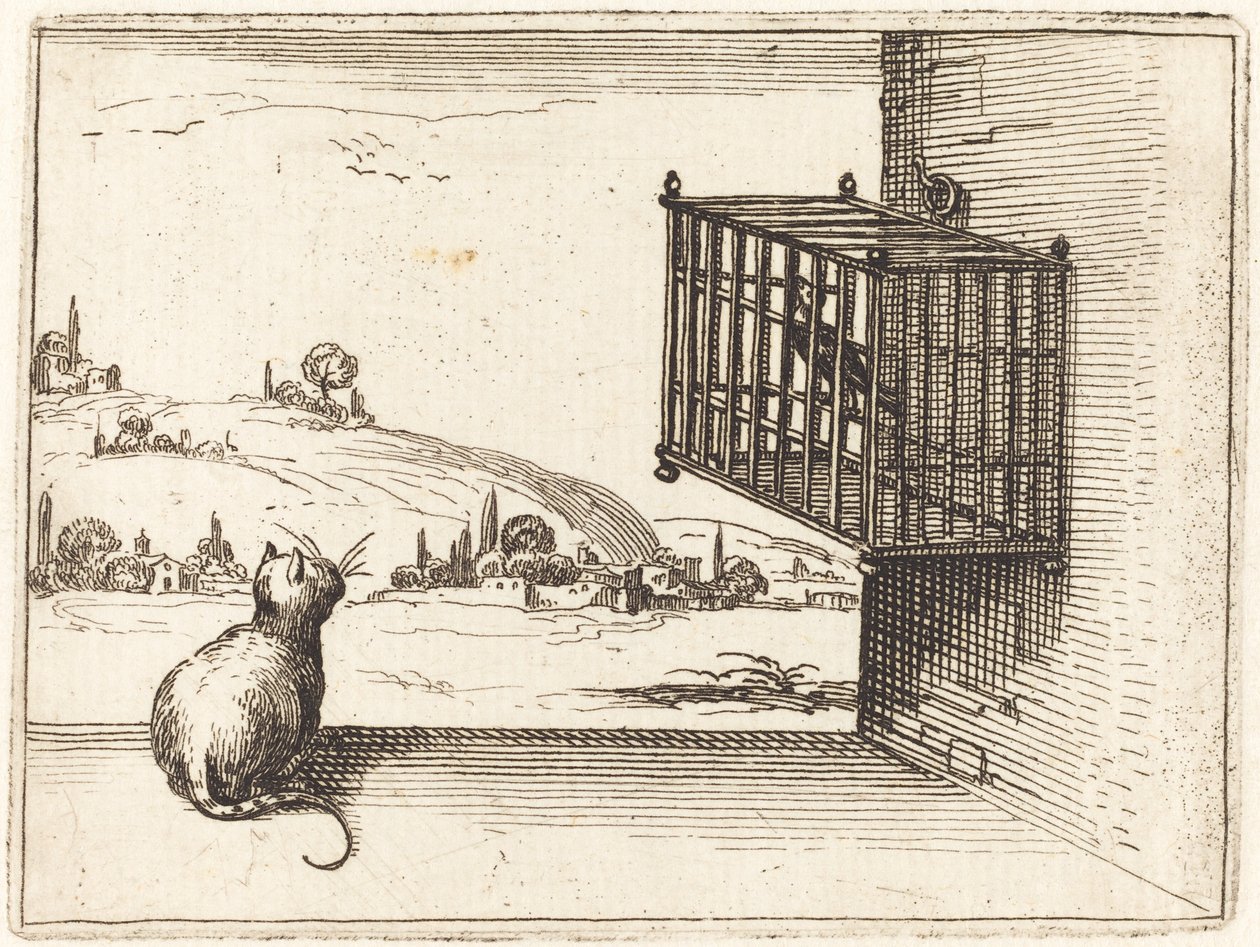 Kafesteki Kuşu İzleyen Kedi by Jacques Callot