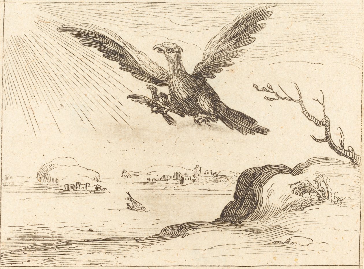kartal ve genç by Jacques Callot