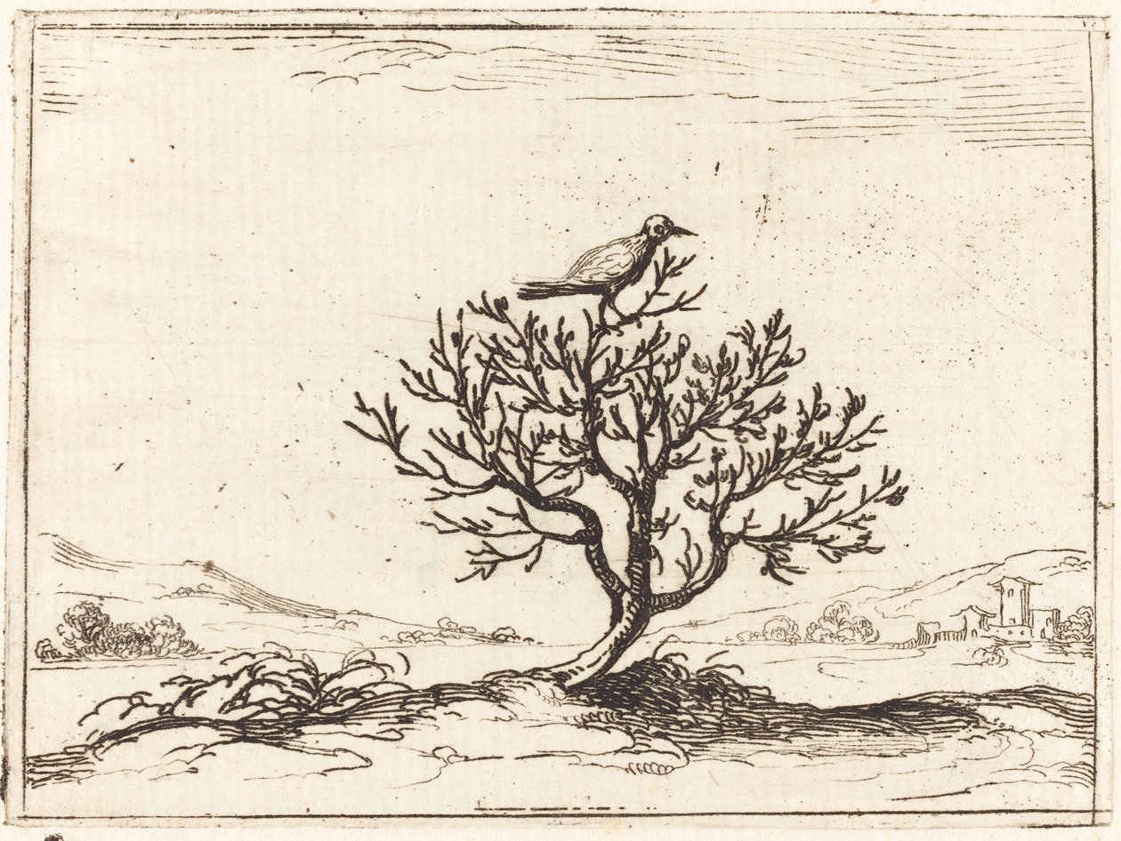 Bir çalıda bülbül by Jacques Callot