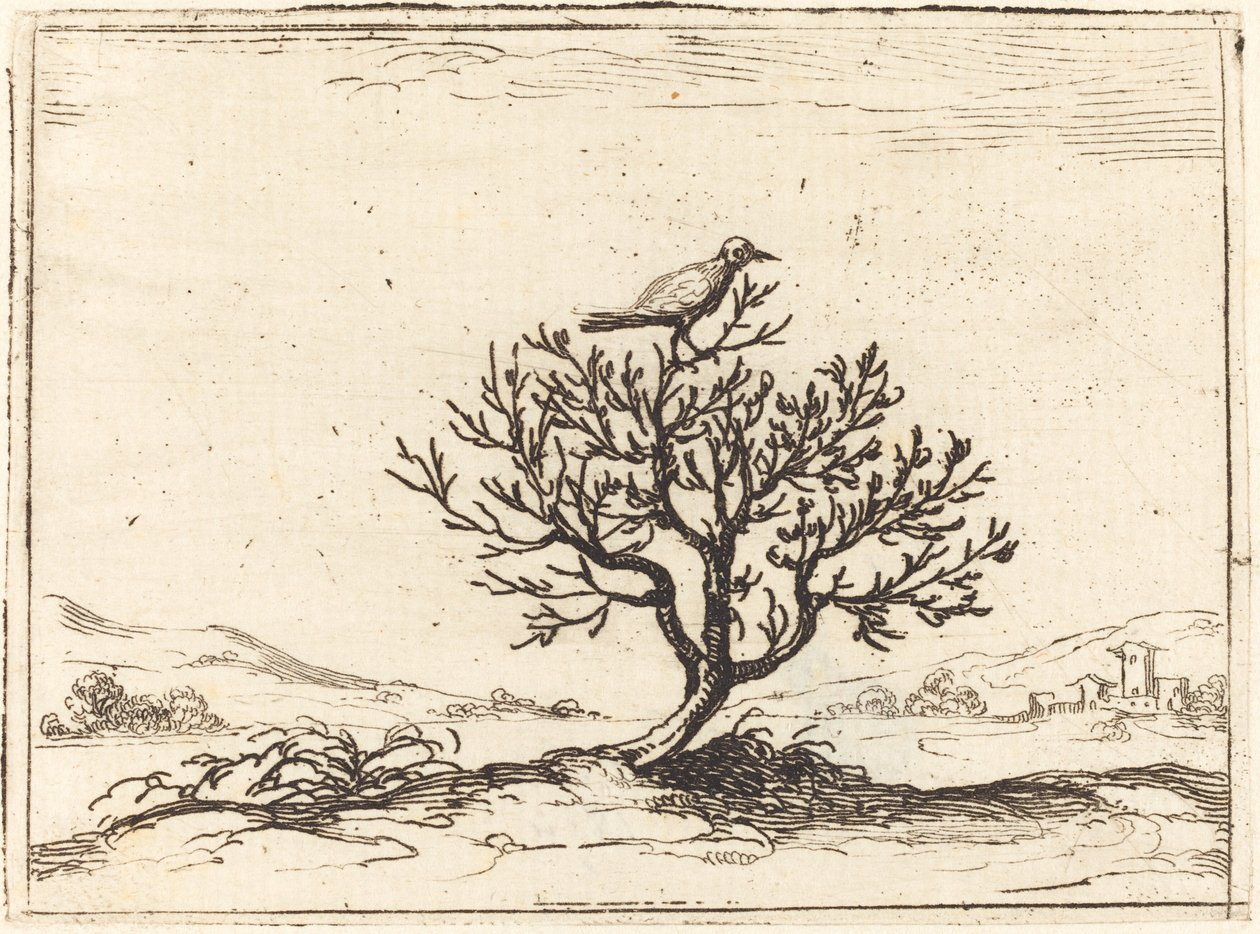 Çalıdaki Bülbül, 1628. by Jacques Callot