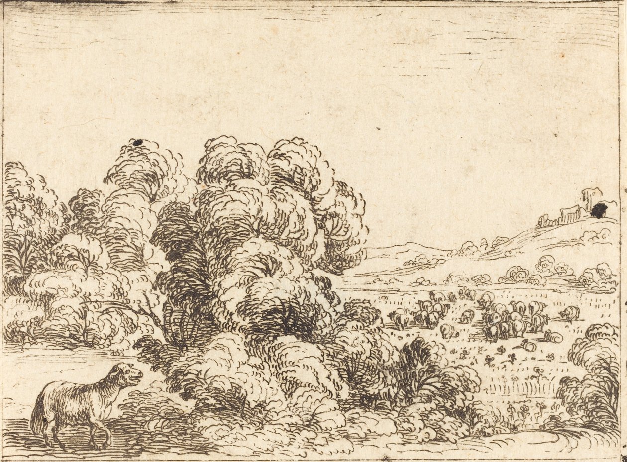 Kuzu Çağıran Koyun by Jacques Callot
