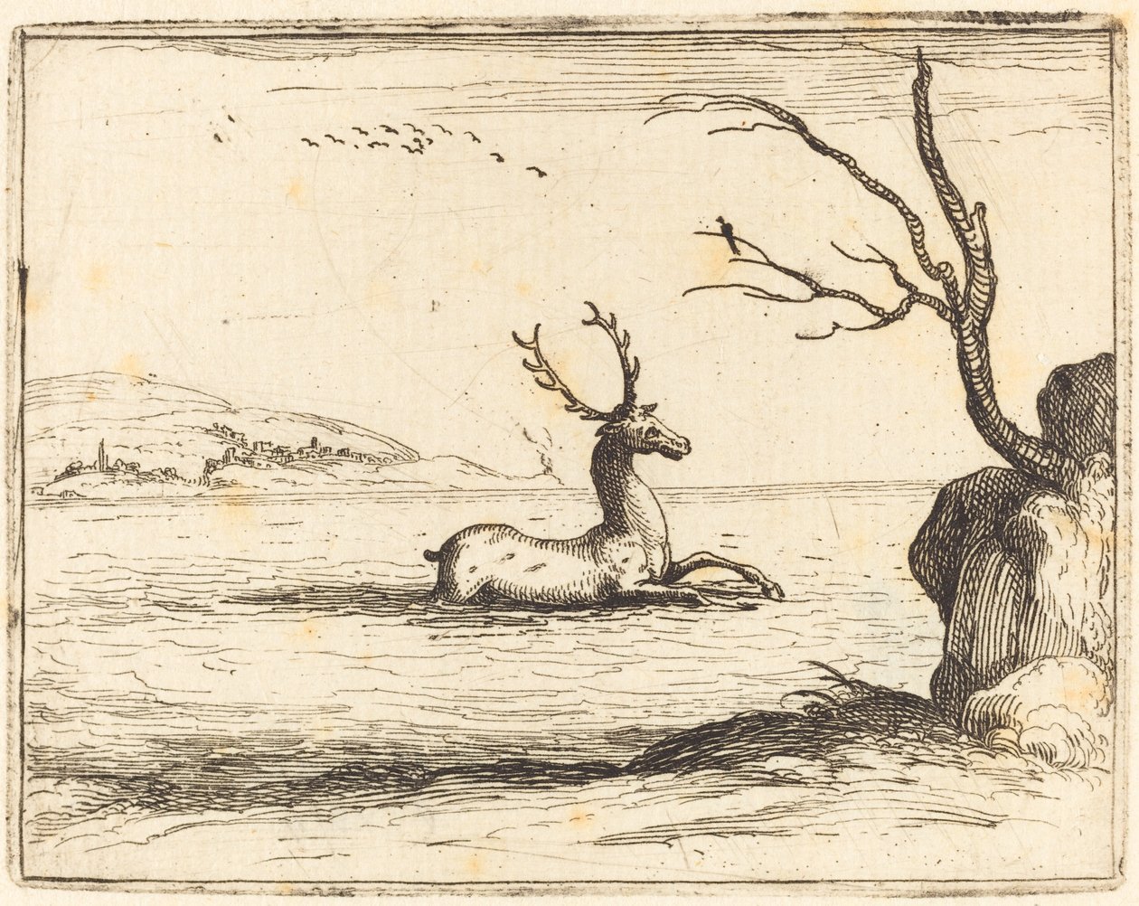 Sudaki Geyik by Jacques Callot