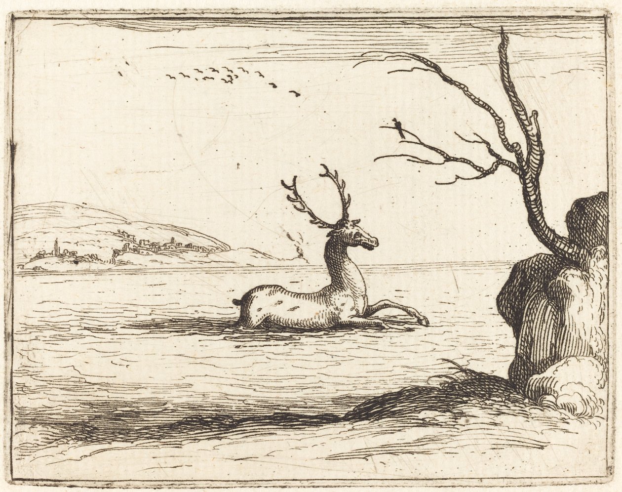 Sudaki Geyik, 1628. by Jacques Callot
