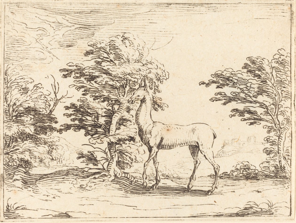 Doe by Jacques Callot
