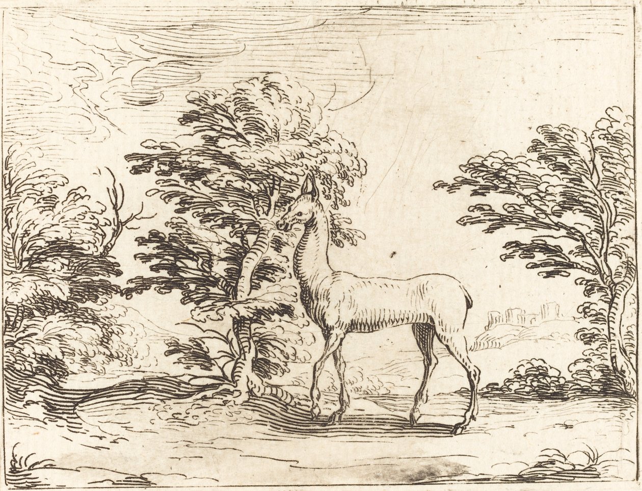 Doe by Jacques Callot