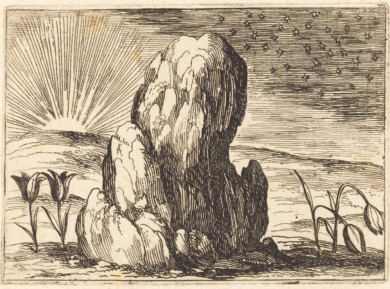 Laleler ve Güneş by Jacques Callot