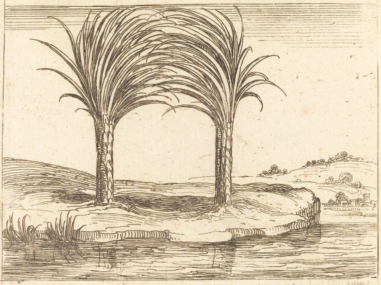 İki Palmiye Ağacı. by Jacques Callot