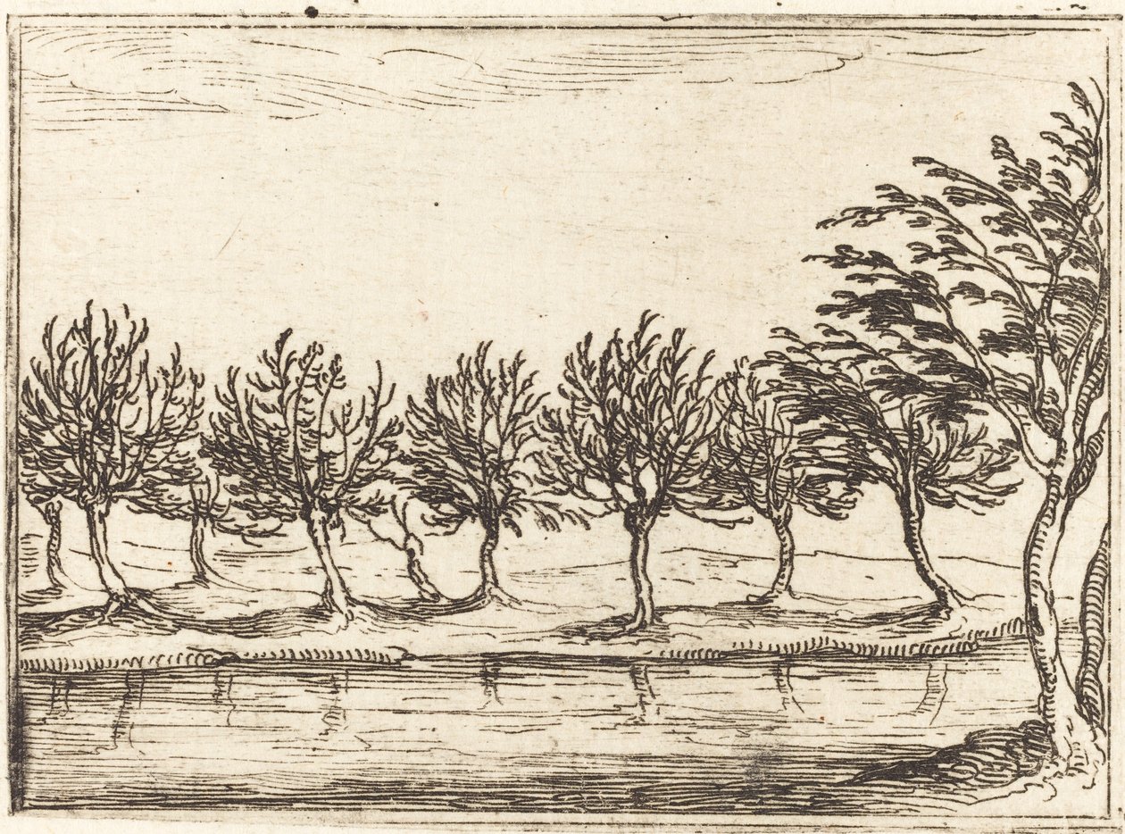 Su Kenarındaki Söğütler by Jacques Callot
