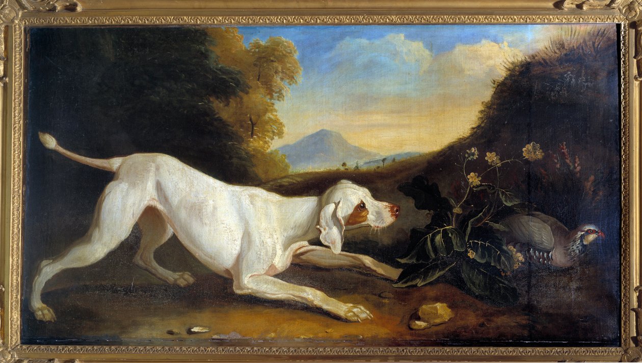 Bir sülün önünde Köpek Braque Resim Jacques Charles Oudry (1720-1778) 18. yüzyıl Paris, Dekoratif Sanatlar by Jacques Charles Oudry
