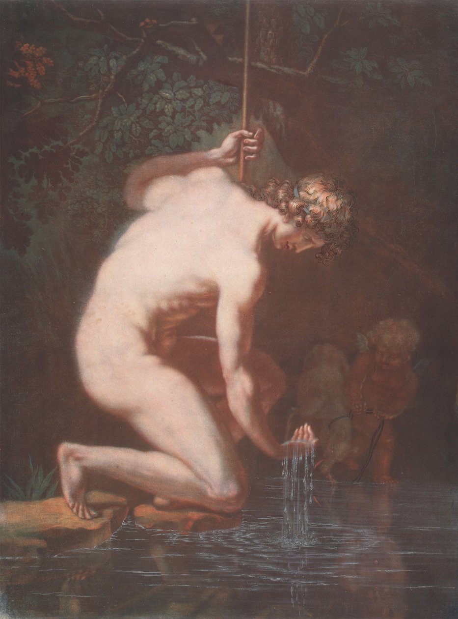 Nergis by Jacques Christophe Le Blon