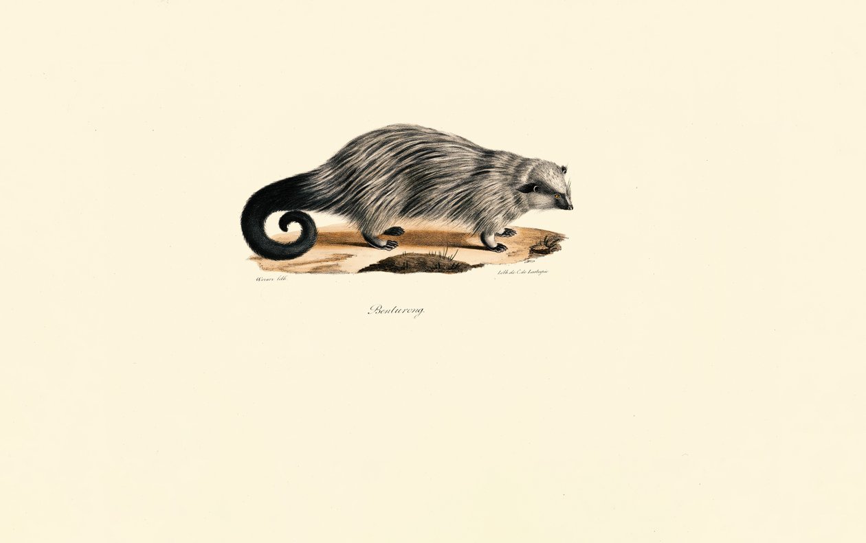  by Jacques Christophe Werner
