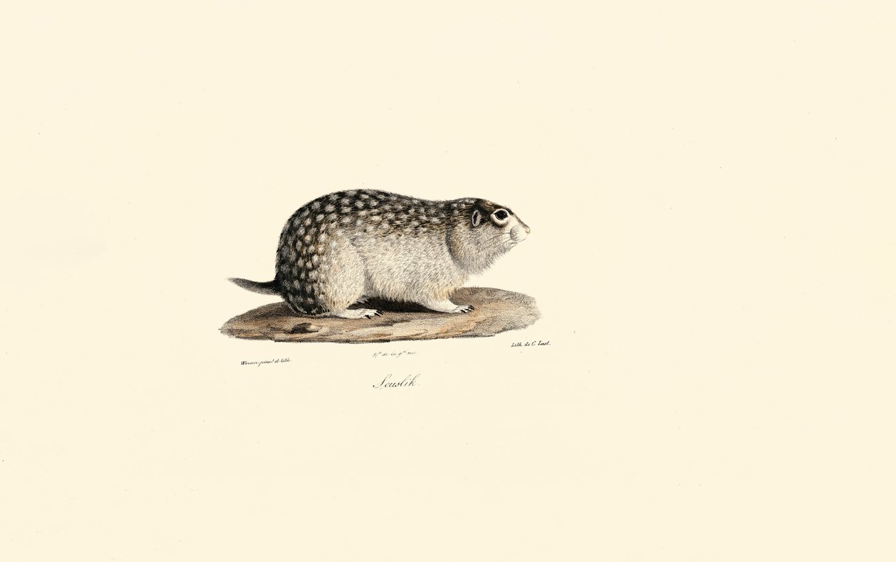 by Jacques Christophe Werner