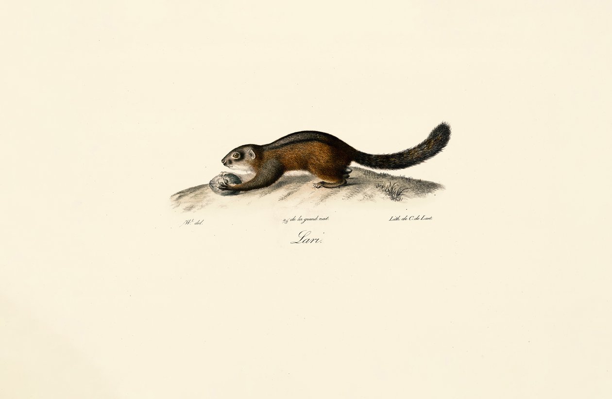  by Jacques Christophe Werner