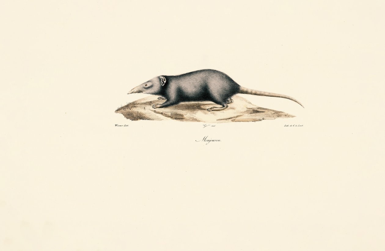  by Jacques Christophe Werner