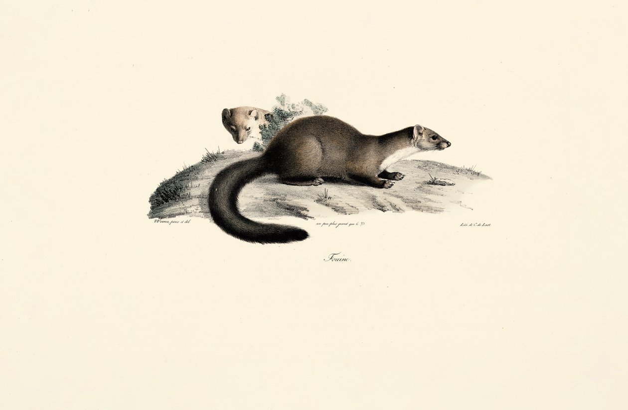  by Jacques Christophe Werner