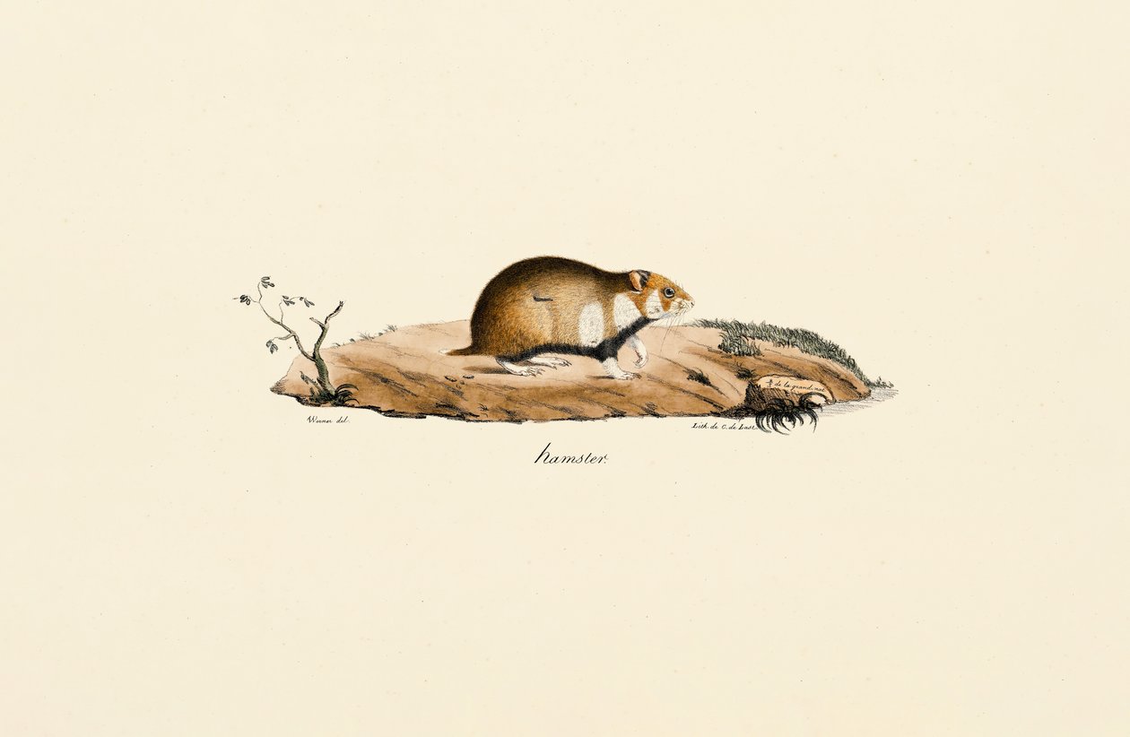  by Jacques Christophe Werner