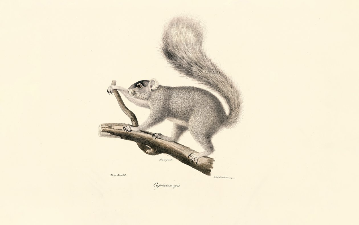  by Jacques Christophe Werner