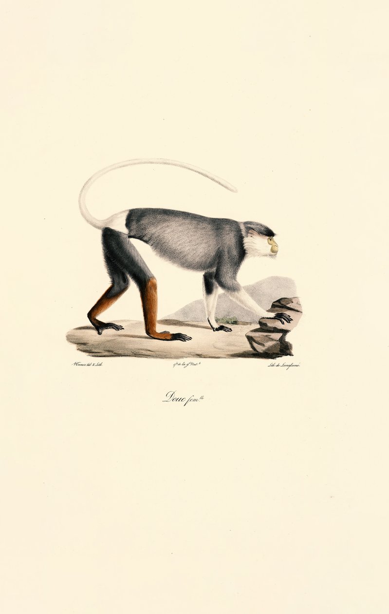  by Jacques Christophe Werner