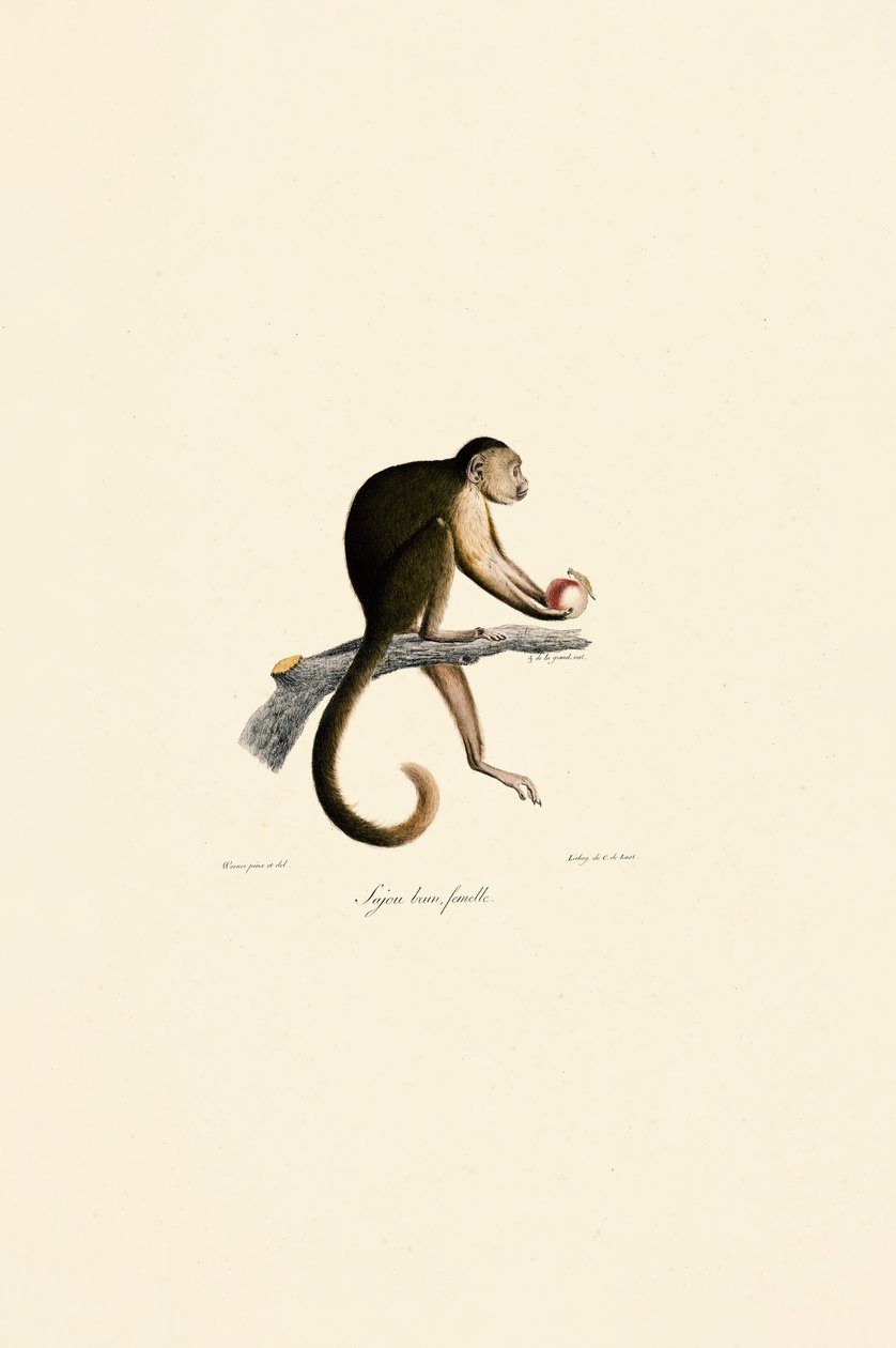  by Jacques Christophe Werner