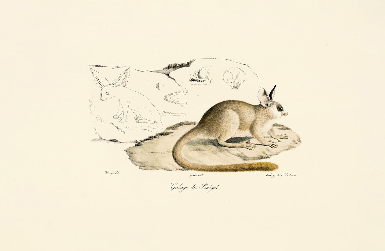  by Jacques Christophe Werner