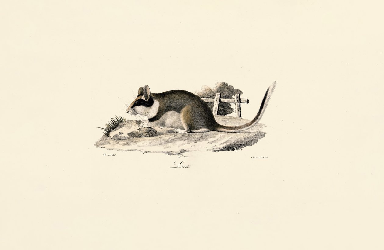  by Jacques Christophe Werner