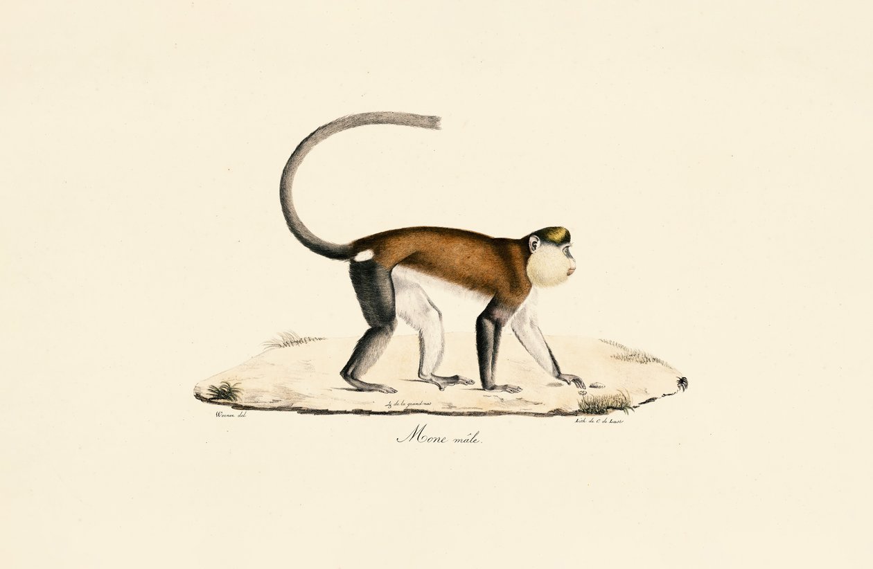  by Jacques Christophe Werner