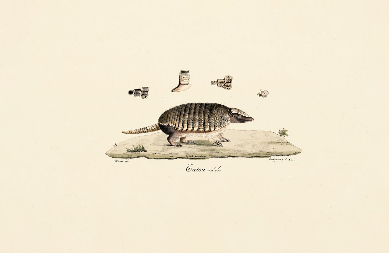  by Jacques Christophe Werner