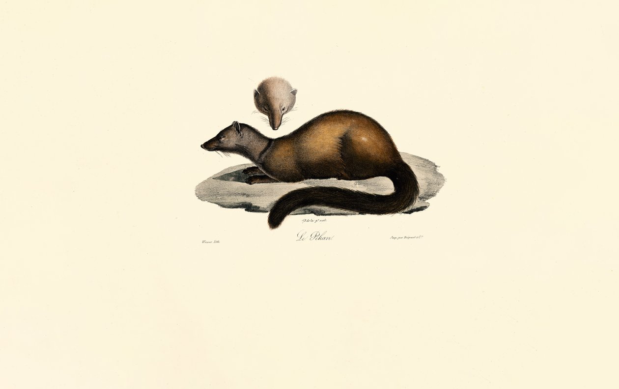  by Jacques Christophe Werner