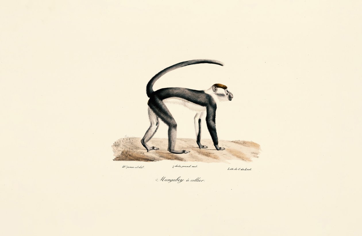  by Jacques Christophe Werner