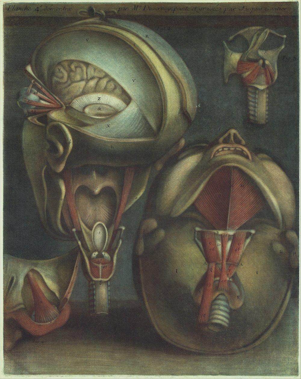 Kafanın İki Görünümü, 1746. by Jacques Fabien Gautier dAgoty