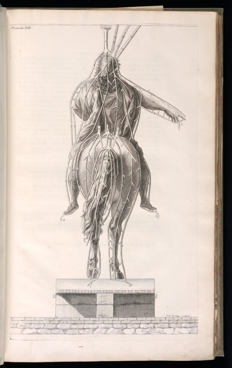 Ciltli Baskı (Fransa) by Jacques François Blondel